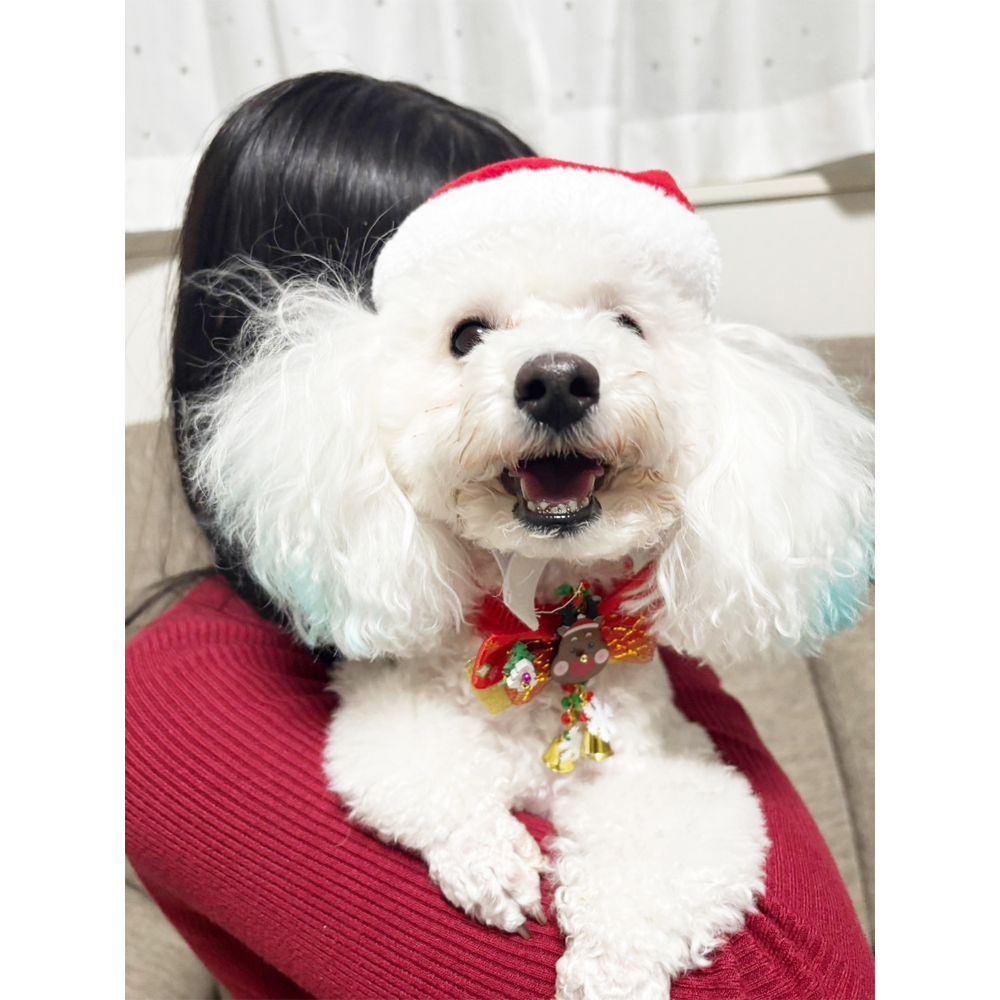 卒業犬ビオレちゃん、初めてづくし！